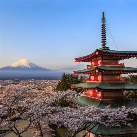 日本签证